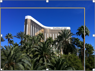 ObjectHandling,文字处理控件,TX Text Control ActiveX